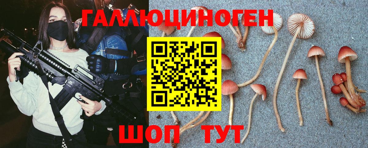 Псилоцибиновые грибы прущие грибы Обнинск